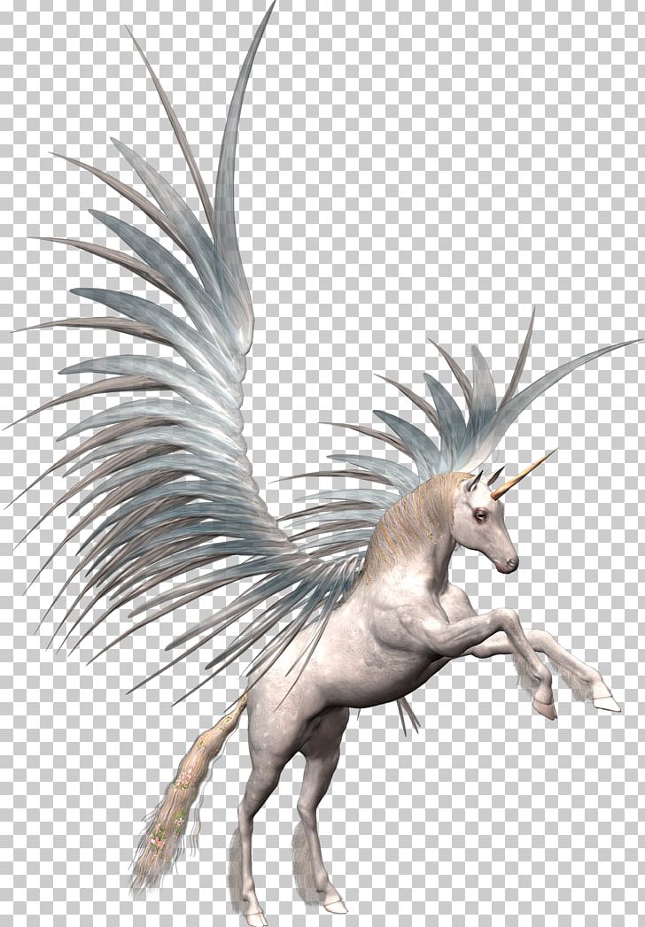 Unicorn Pegasus PNG, Clipart, Adobe Flash, Computer Icons, Desktop Wallpaper, Dragon, Fantasy Free PNG Download