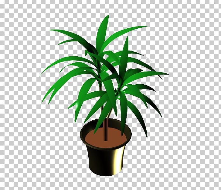 Arecaceae Flowerpot Houseplant Plant Stem PNG, Clipart, Arecaceae, Arecales, Flowerpot, Houseplant, Leaf Free PNG Download