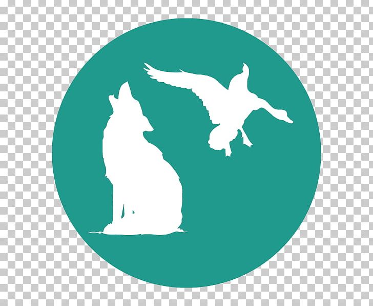 Gray Wolf Graphics Illustration Sticker PNG, Clipart, Beak, Bird, Car, Computer, Computer Icons Free PNG Download