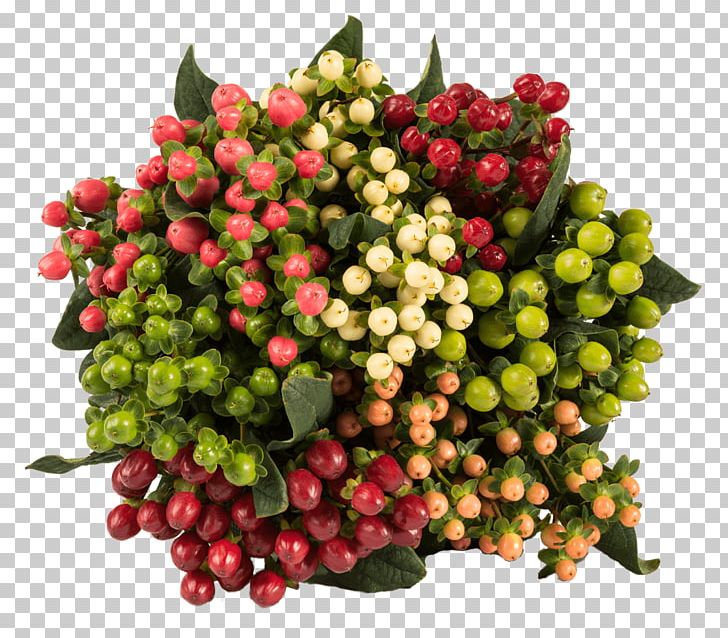 Lingonberry Cut Flowers Floral Design Flower Bouquet PNG, Clipart,  Free PNG Download