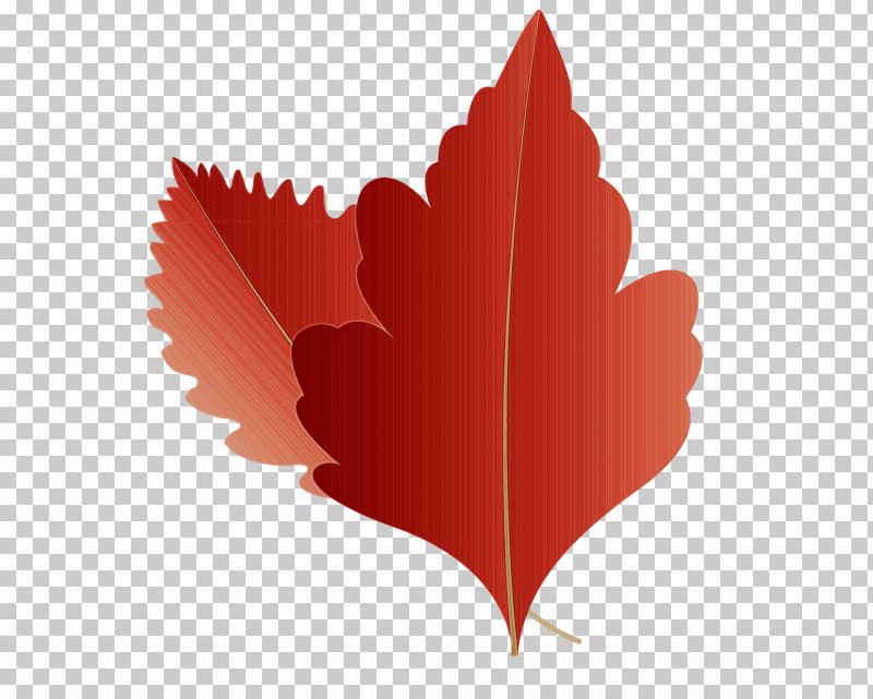 Maple Leaf PNG, Clipart, Autumn Leaf, Biology, Cartoon Leaf, Fall Leaf, Heart Free PNG Download