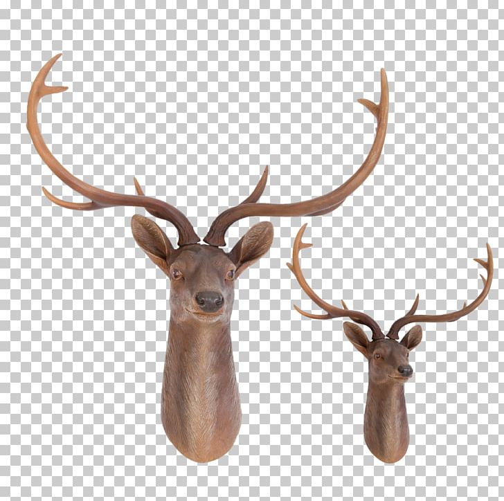 Elk Trophy Hunting Red Deer Reindeer PNG, Clipart, Animals, Antler, Cerf, Common Wood Pigeon, Deer Free PNG Download