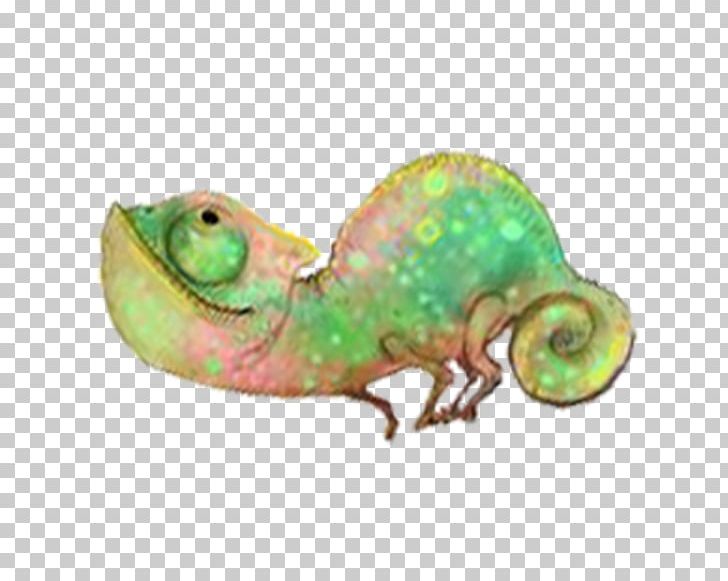 Reptile Chameleons Lizard Animal Iguanomorpha PNG, Clipart, Animal, Animals, Chameleon, Chameleons, Gecko Free PNG Download