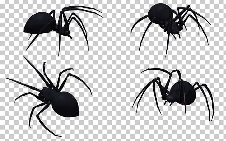 Widow Spiders Stock Photography PNG, Clipart, Arachnid, Arthropod, Black And White, Blog, Deviantart Free PNG Download