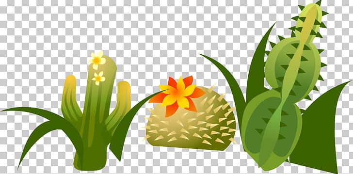 Cactaceae Euclidean PNG, Clipart, Adobe Illustrator, Animation, Background Green, Cactus, Cartoon Free PNG Download