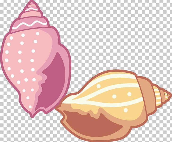 Conch PNG, Clipart, Adobe Illustrator, Animation, Artworks, Balloon Cartoon, Boy Cartoon Free PNG Download