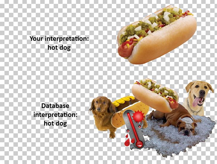 Dog Breed Hot Dog Days Puppy PNG, Clipart, Carnivoran, Database, Database Search Engine, Dog, Dog Breed Free PNG Download
