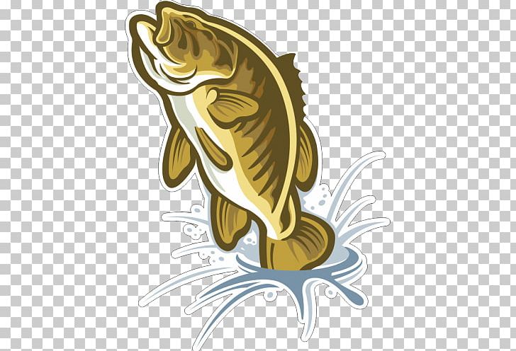 Fish Bass PNG, Clipart, Animals, Bass, Commercial Fish Feed, Drawing, Encapsulated Postscript Free PNG Download