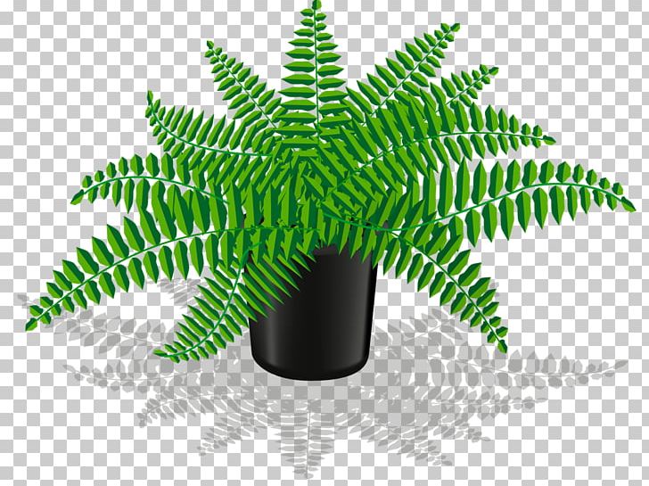 Flowerpot Garden Centre PNG, Clipart, Art, Drawing, Fern, Ferns And Horsetails, Flower Free PNG Download