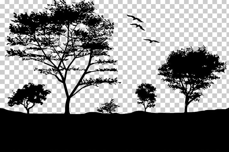 Landscape Light Sunset Nature Tree PNG, Clipart, Black And White, Branch, Computer Wallpaper, Dawn, Grass Free PNG Download