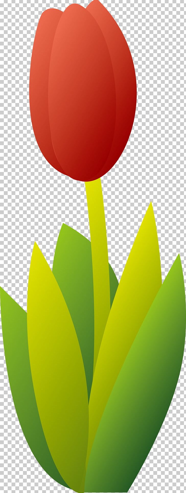 Tulip Flower PNG, Clipart, Adobe Illustrator, Cartoon, Encapsulated Postscript, Flower, Flowering Plant Free PNG Download