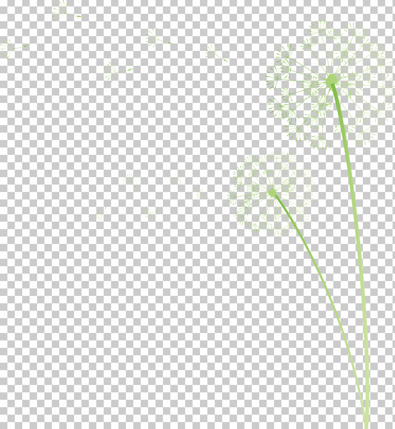 Dandelion PNG, Clipart, Computer, Dandelion, Flora, Flower, Grasses Free PNG Download