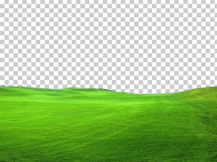 Lawn Photography PNG, Clipart, Architecture, Art, Clip Art, Computer Wallpaper, Download Free PNG Download