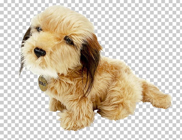 Puppy Cockapoo Dog Breed Poodle Schnoodle PNG, Clipart, Allegro, Animals, Basset , Carnivoran, Companion Dog Free PNG Download