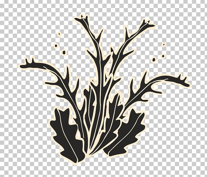 Twig Leaf Font PNG, Clipart, Branch, Craft, Leaf, Plant, Seahorse Free PNG Download