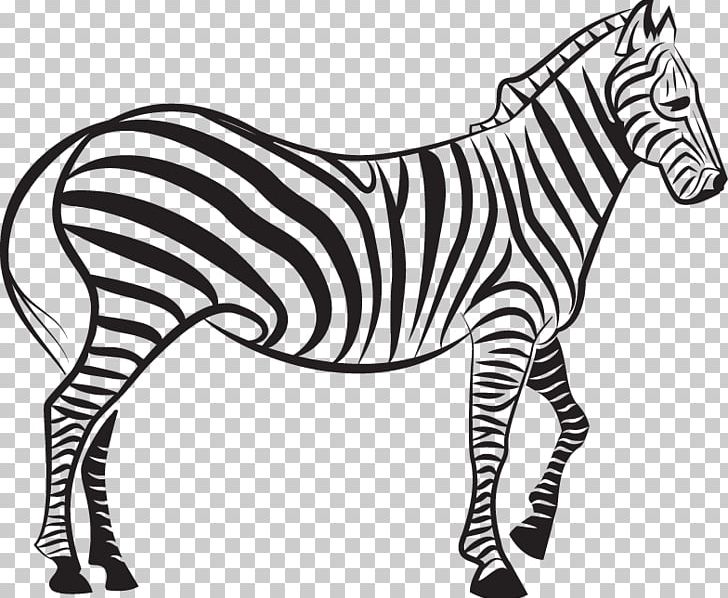 Zebra Euclidean Illustration PNG, Clipart, Animal Figure, Animals, Art, Black, Black And White Free PNG Download