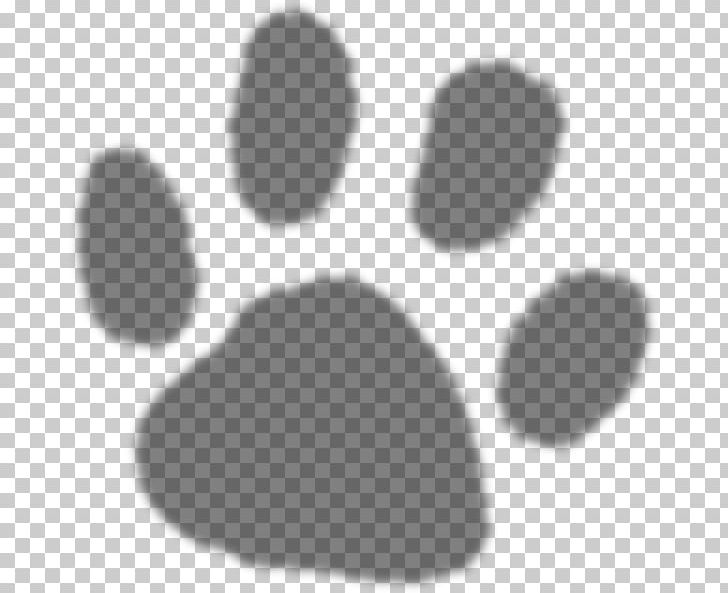 Dog Cat Paw PNG, Clipart, Animals, Black, Black And White, Cat, Circle Free PNG Download