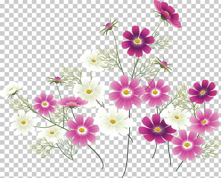 Wildflower PNG, Clipart, Adobe Illustrator, Annual Plant, Blume, Corner Flower, Corner Vector Free PNG Download