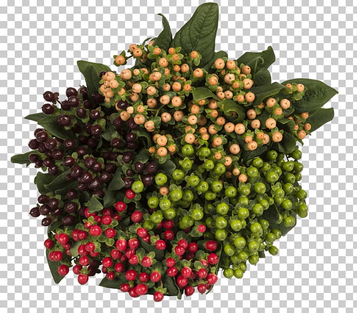 Flower Food Berries Fruit Vegetable PNG, Clipart,  Free PNG Download