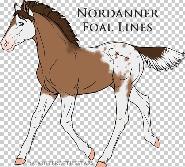 Foal Stallion Mane Colt Mare PNG, Clipart, Animal, Animal Figure, Bridle, Colt, Fairy Maiden Free PNG Download