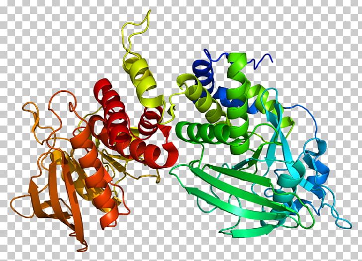 Tubulin PTPRS Protein Tyrosine Phosphatase PTPRD PNG, Clipart, Art, Artwork, Flavincontaining Monooxygenase, Flowering Plant, Food Free PNG Download