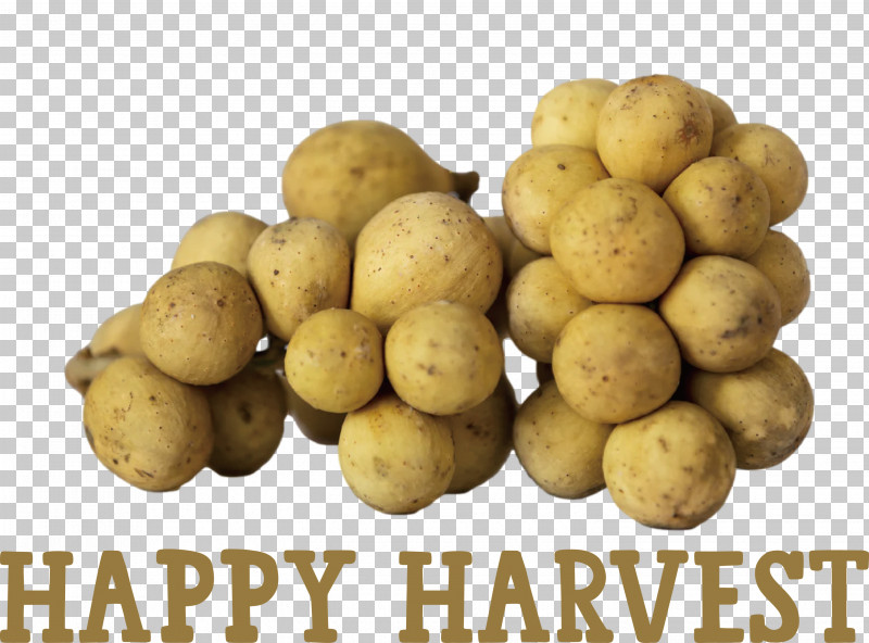 Happy Harvest Harvest Time PNG, Clipart, Cooking, Dish, European Cuisine, Happy Harvest, Harvest Time Free PNG Download