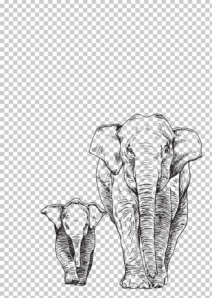 Asian Elephant Drawing African Elephant PNG, Clipart, Animals, Arm, Artwork, Black And White, Bone Free PNG Download