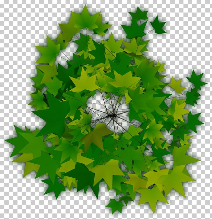 Top Tree Computer Icons PNG, Clipart, Binary Tree, Computer Icons, Computer Software, Deciduous, Dwg Free PNG Download