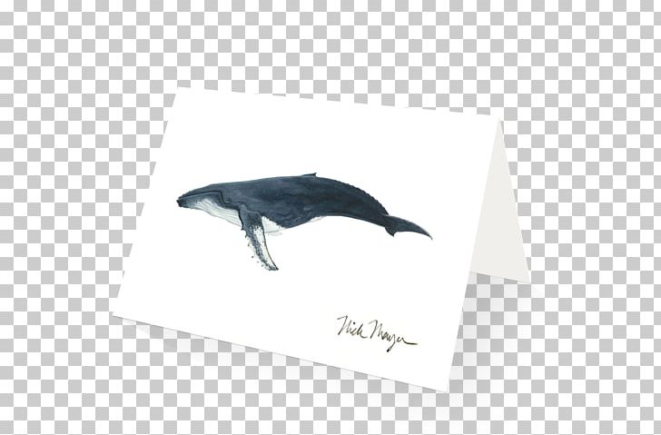 Dolphin Humpback Whale Painting Cetaceans PNG, Clipart, Dolphin, Fin, Humpback Whale, Marine Mammal, Painting Free PNG Download
