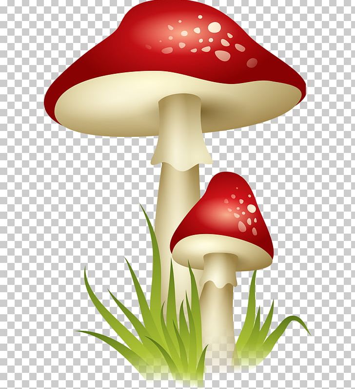 Edible Mushroom PNG, Clipart, Common Mushroom, Computer Icons, Document, Edible Mushroom, Encapsulated Postscript Free PNG Download