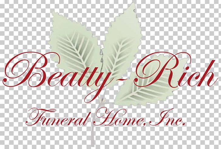 Beauty Royal PNG, Clipart, Beauty Parlour, Brand, Collagen, Cosmetics, English Free PNG Download
