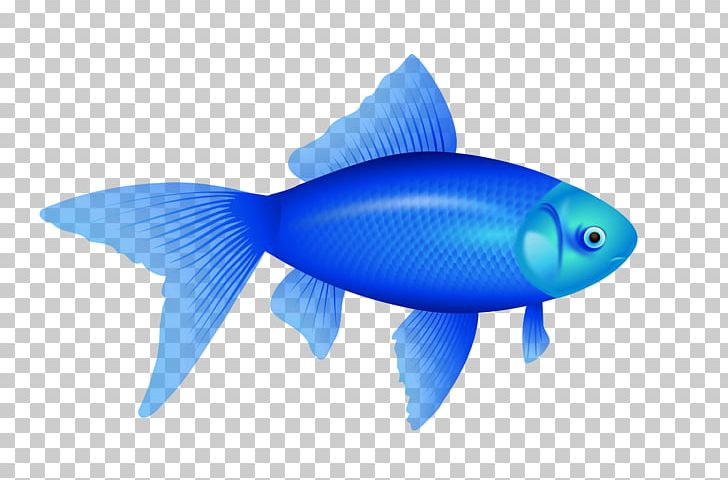 Fish PNG, Clipart, Animallover, Animals, Blue, Blue, Bluefish Free PNG Download