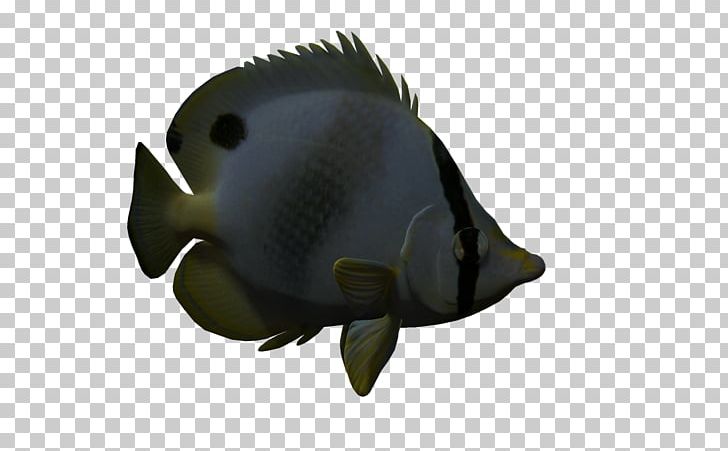 3D Computer Graphics Animal Drawing PNG, Clipart, 3d Computer Graphics, Animal, Animation, Anime Girl, Biological Free PNG Download