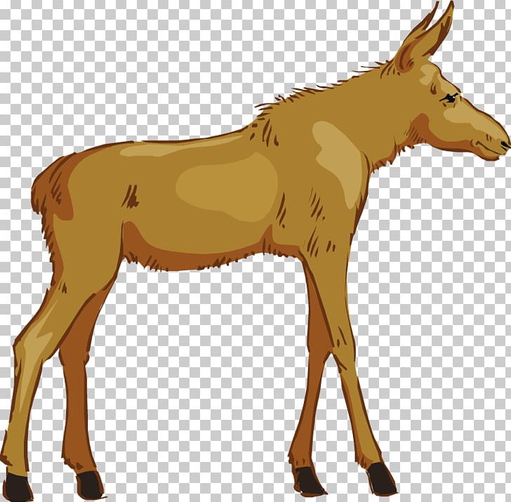 Moose Free Content PNG, Clipart, Cartoon, Colt, Deer, Donkey, Fauna Free PNG Download