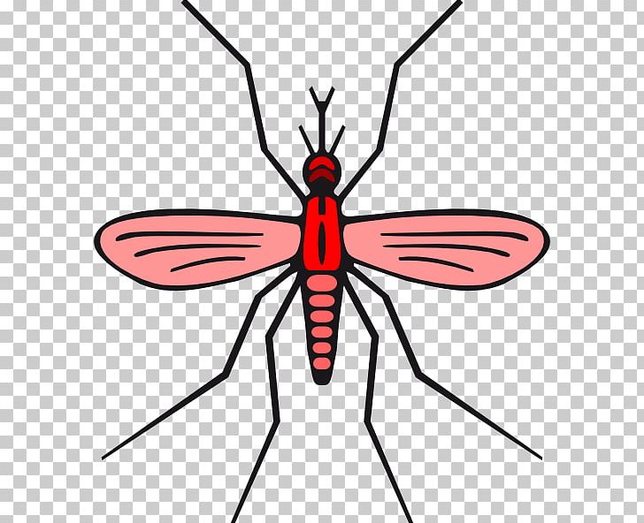 Mosquito PNG, Clipart, Artwork, Computer Icons, Fly, Geevv, Household Insect Repellents Free PNG Download