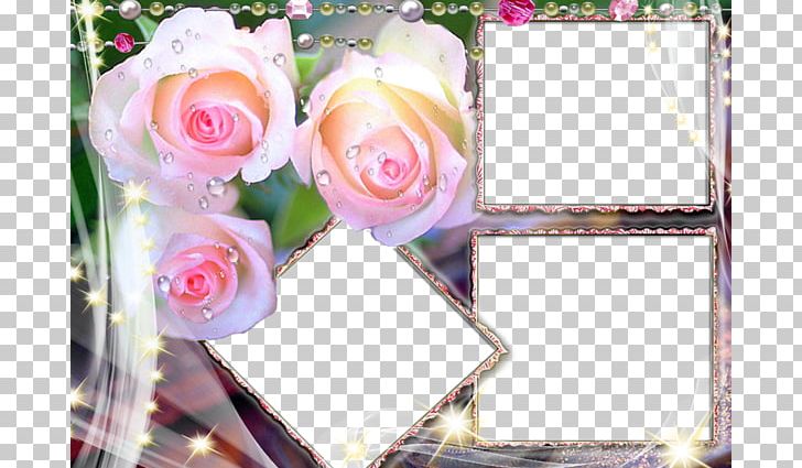 Rose Flower High-definition Television 1080p PNG, Clipart, Artificial Flower, Border, Border Frame, Certificate Border, Flower Free PNG Download