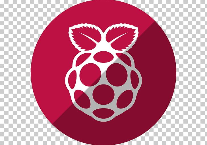 Raspberry Pi Computer Icons Secure Digital Noobs PNG, Clipart, Circle, Computer, Computer Icons, Computer Program, Computer Software Free PNG Download
