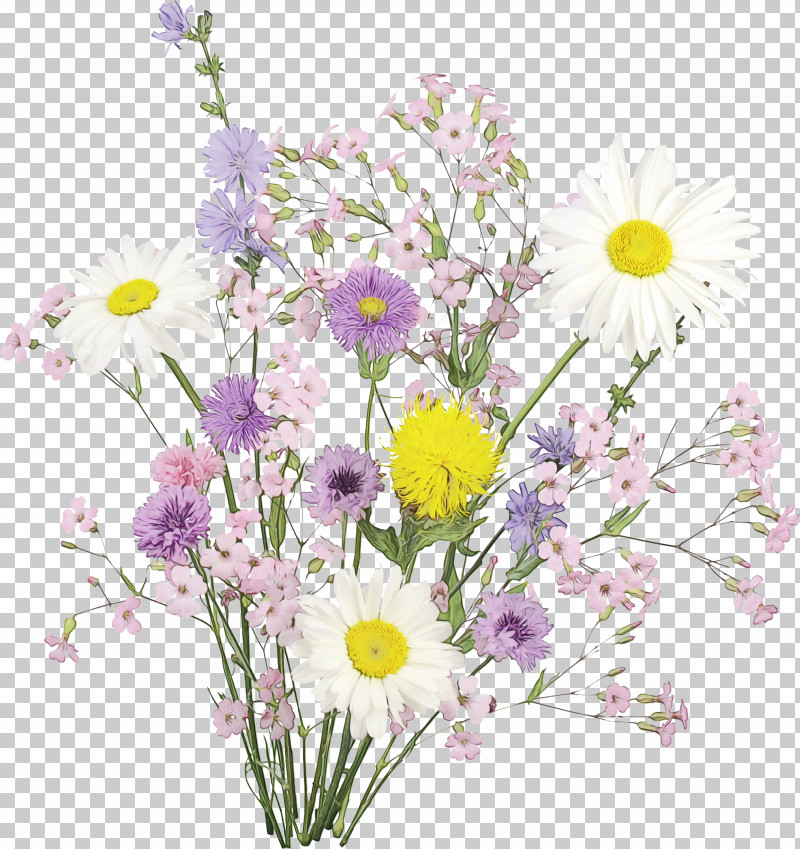 Floral Design PNG, Clipart, Annual Plant, Biology, Chamomiles, Chrysanthemum, Cut Flowers Free PNG Download