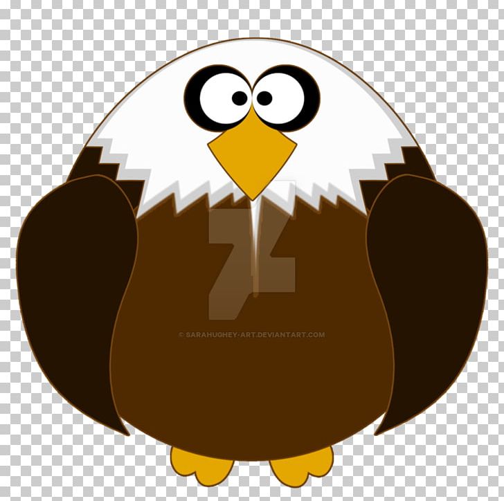 Bald Eagle Fat Owl PNG, Clipart, Animals, Art, Bald Eagle, Beak, Bird Free PNG Download