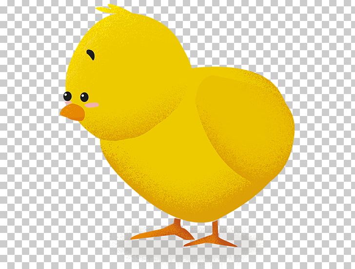 Duck Beak Chicken As Food Animated Cartoon PNG, Clipart, Animals, Animated Cartoon, Beak, Bird, Chicken Free PNG Download