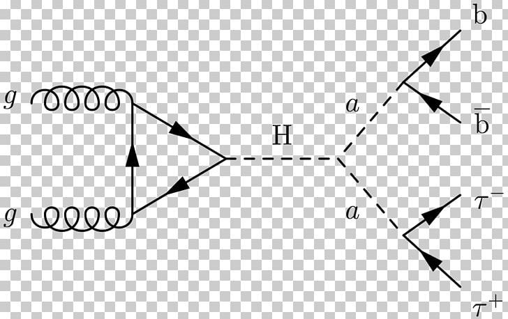 Feynman Diagram Gamma-glutamyl Hydrolase (conjugase PNG, Clipart, Angle, Area, Black, Black And White, Brand Free PNG Download