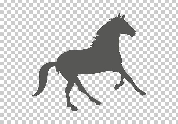 Mustang Stallion Colt Foal American Paint Horse PNG, Clipart, Black And White, Bridle, Colt, Equestrian, Fictional Character Free PNG Download