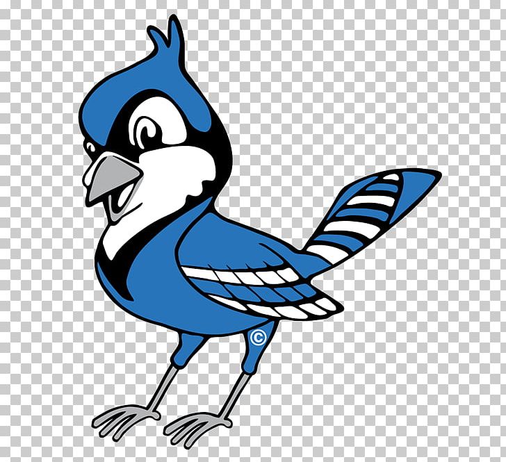 Raytown Senior High School Kansas City Elementary School Toronto Blue Jays PNG, Clipart,  Free PNG Download