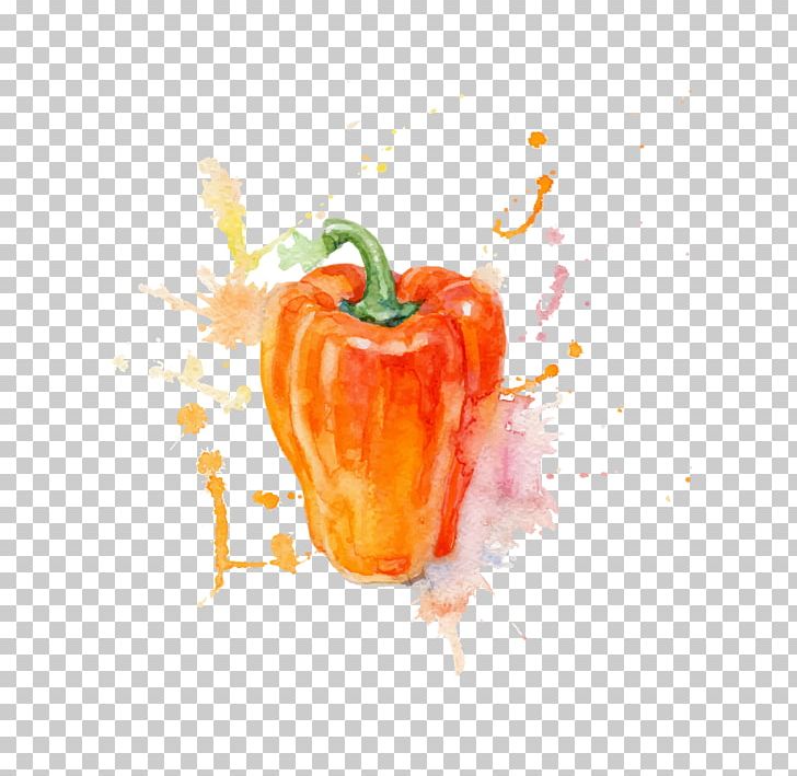 Watercolor Painting Vegetable PNG, Clipart, Chili Pepper, Computer Wallpaper, Encapsulated Postscript, Food, Fruit Free PNG Download