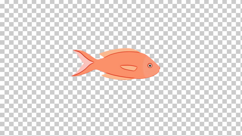 Fish Science Biology PNG, Clipart, Biology, Fish, Paint, Science, Watercolor Free PNG Download