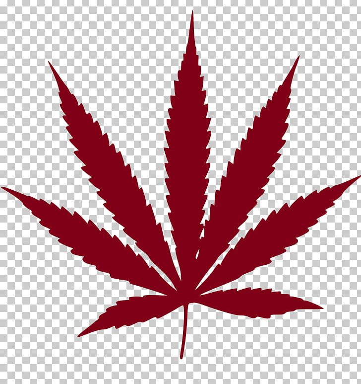 Cannabis Ruderalis Leaf Medical Cannabis PNG, Clipart, Cannabis, Cannabis Ruderalis, Cannabis Sativa, Cannabis Smoking, Clip Art Free PNG Download