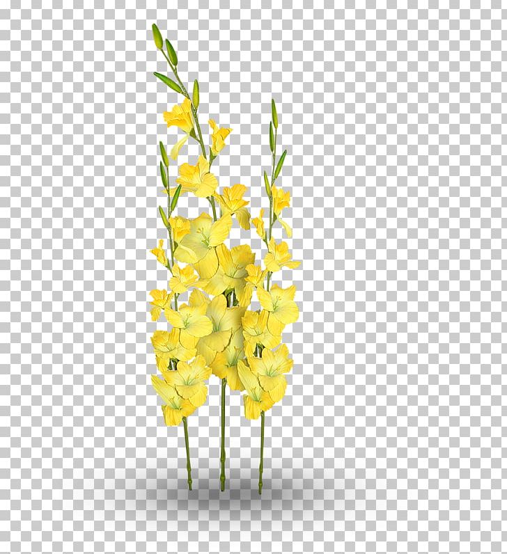 Cut Flowers Floral Design Plant Stem PNG, Clipart, Agave, Animaatio, Aquarium Decor, Branch, Cut Flowers Free PNG Download