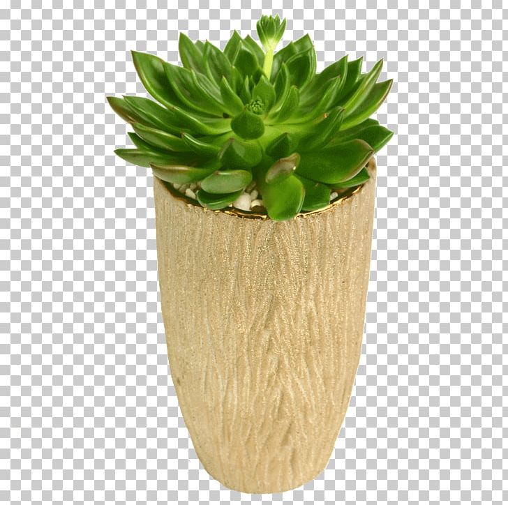 Flowerpot Vase Plant PNG, Clipart, Flowerpot, Flowers, Grass, Plant, Vase Free PNG Download