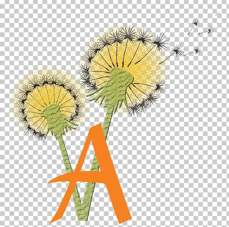 Non-profit Organisation Ambit Vision Video Productions PNG, Clipart, Art, Chrysanths, Company, Creativity, Cut Flowers Free PNG Download