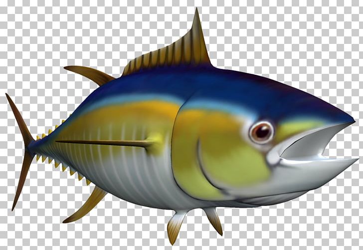 Thunnus Sardine Marine Biology Milkfish Oily Fish PNG, Clipart, Biology, Bony Fish, Coral, Coral Reef, Coral Reef Fish Free PNG Download